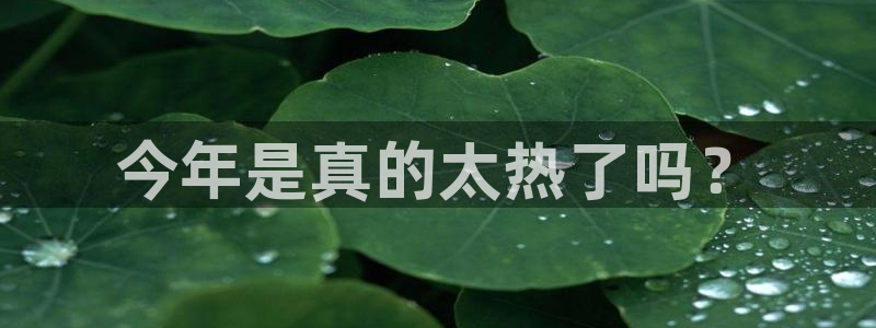 mg不朽情缘体育热门赛事有哪些：今年是真的太热了吗？