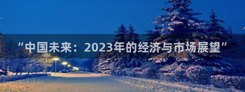 mg不朽情缘3：“中国未来：2023年的经济与市场展望”
