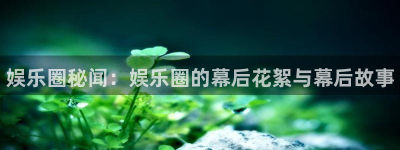 mg不朽情缘2登录入口：娱乐圈秘闻：娱乐圈的幕后花絮与幕后故事
