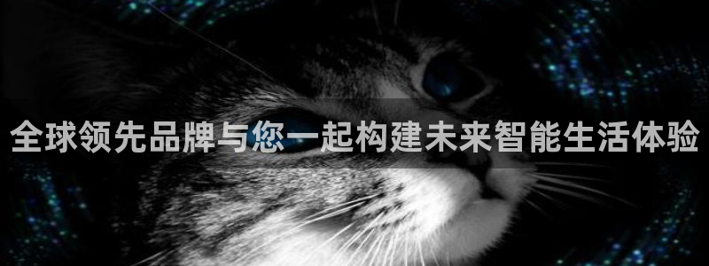 mg不朽情缘体育：全球领先品牌与您一起构建未来智能生活体验