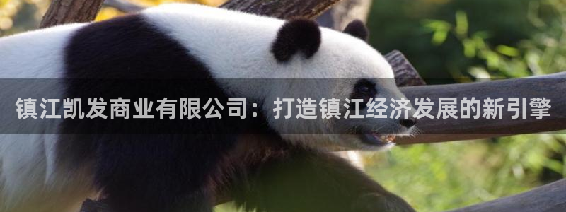 mg不朽情缘体育注册：镇江凯发商业有限公司：打造镇江经济发展的新引擎