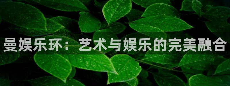 mg不朽情缘电子有限公司：曼娱乐环：艺术与娱乐的完美融合