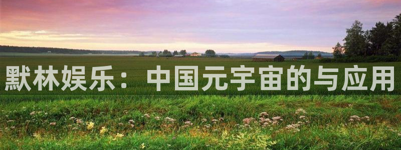 mg不朽情缘体育4：默林娱乐：中国元宇宙的与应用
