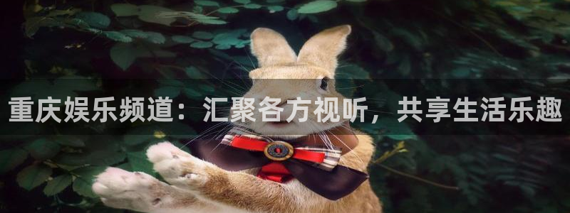 mg不朽情缘3登陆：重庆娱乐频道：汇聚各方视听，共享生活乐趣