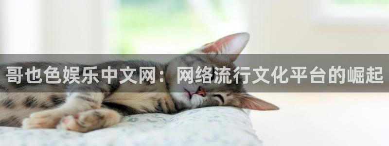 mg不朽情缘体育平台开号链接：哥也色娱乐中文网：网络流行文化平台的崛起