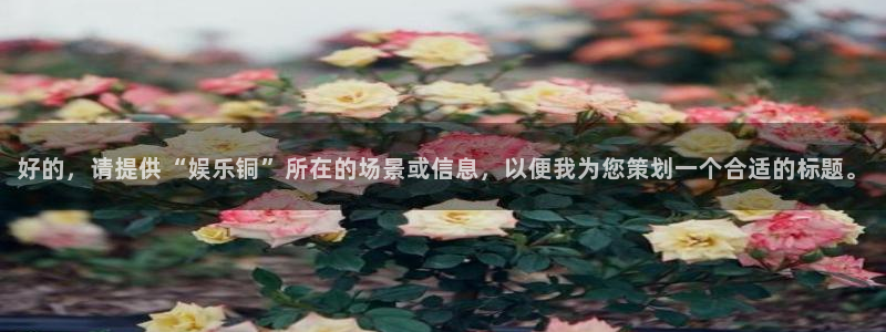 mg不朽情缘体育网页版入口：好的，请提供“娱乐铜”所在的场景或信息，以便我为您策