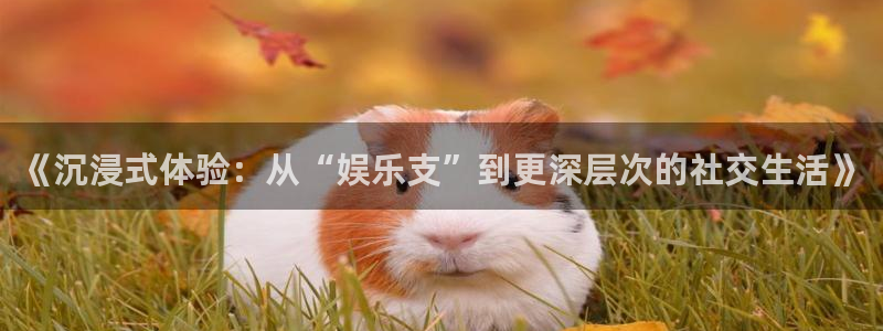 mg不朽情缘5招商：《沉浸式体验：从“娱乐支”到更深层次的社交生活》