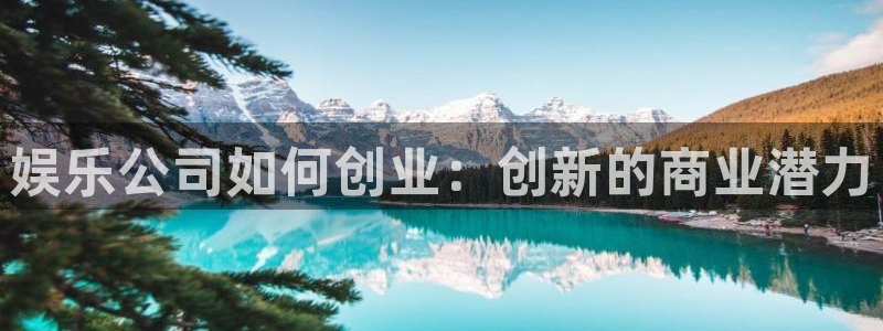 mg不朽情缘注册：娱乐公司如何创业：创新的商业潜力