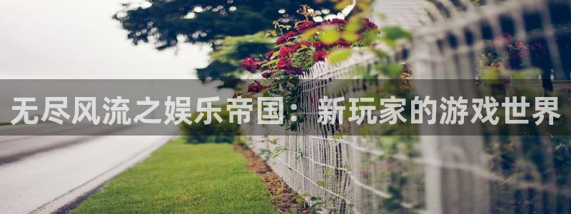 mg不朽情缘体育凯捷登陆：无尽风流之娱乐帝国：新玩家的游戏世界