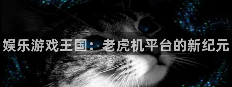 mg不朽情缘体育代理申请流程：娱乐游戏王国：老虎机平台的新纪元