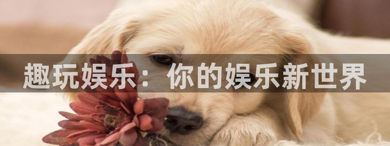 mg不朽情缘4平台注册：趣玩娱乐：你的娱乐新世界