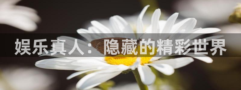mg不朽情缘体育注册登录入口：娱乐真人：隐藏的精彩世界