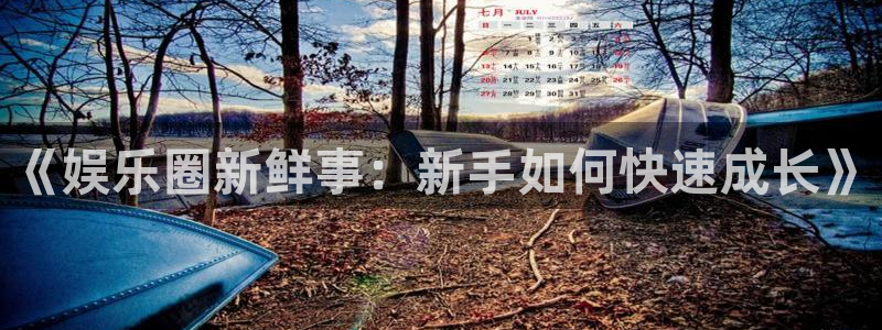mg不朽情缘4代理：《娱乐圈新鲜事：新手如何快速成长》