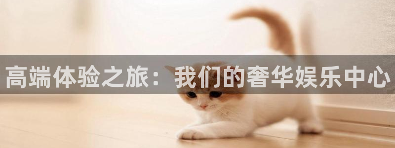 mg不朽情缘集团：高端体验之旅：我们的奢华娱乐中心