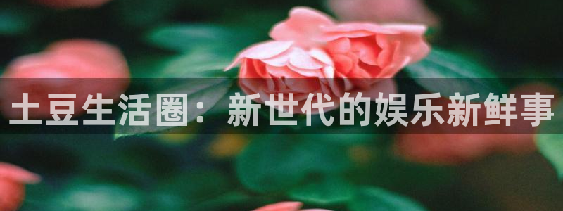 mg不朽情缘凯捷平台注册链接：土豆生活圈：新世代的娱乐新鲜事