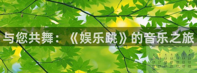 mg不朽情缘体育2官网入口：与您共舞：《娱乐跳》的音乐之旅