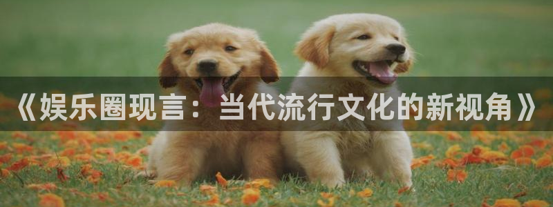 mg不朽情缘代理：《娱乐圈现言：当代流行文化的新视角》