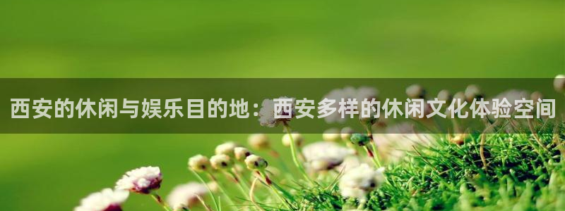 mg不朽情缘招商：西安的休闲与娱乐目的地：西安多样的休闲文化体验空间