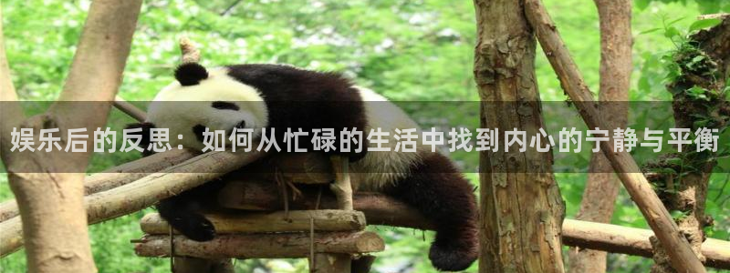 mg不朽情缘3登录：娱乐后的反思：如何从忙碌的生活中找到内心的宁静与平衡