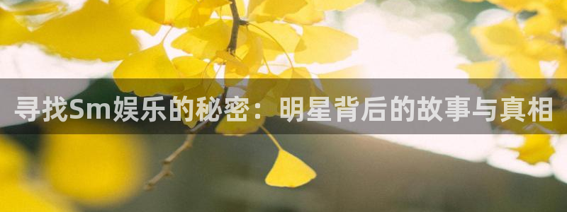 mg不朽情缘体育注册登录入口：寻找Sm娱乐的秘密：明星背后的故事与真相