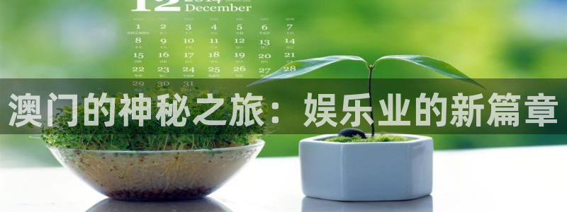 mg不朽情缘体育注册：澳门的神秘之旅：娱乐业的新篇章