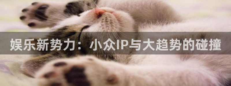mg不朽情缘f凯捷平台在线注册：娱乐新势力：小众IP与大趋势的碰撞