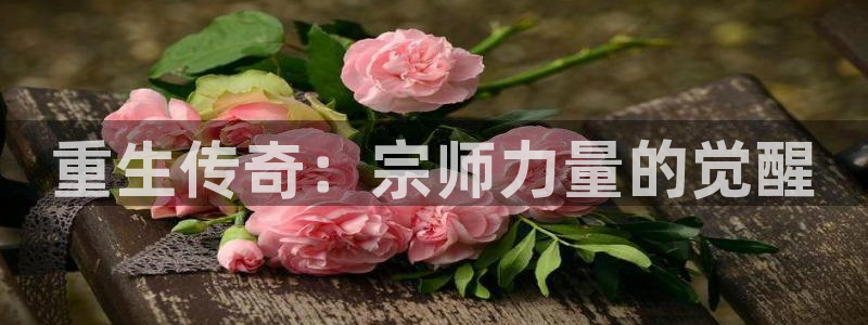 mg不朽情缘代理注册官网入口：重生传奇：宗师力量的觉醒