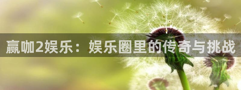 mg不朽情缘4平台注册：赢咖2娱乐：娱乐圈里的传奇与挑战