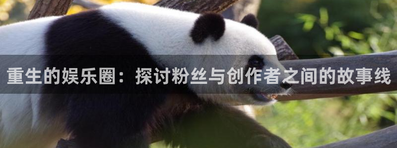 mg不朽情缘登录：重生的娱乐圈：探讨粉丝与创作者之间的故事线
